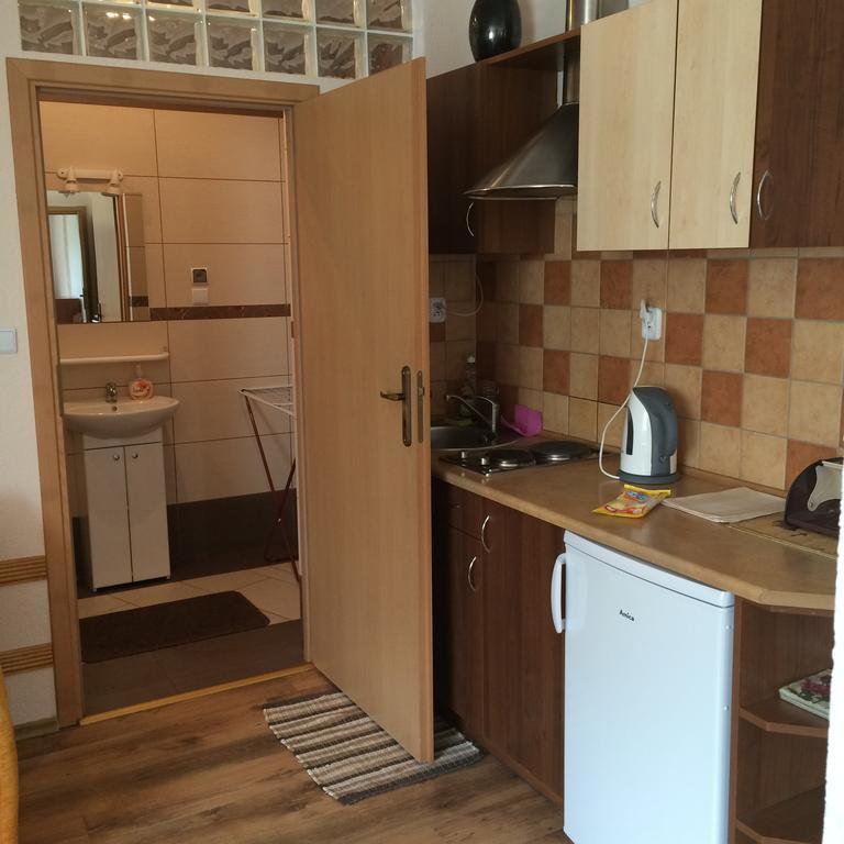 Apartamenty W Jantar - Lilasun Szklarska Poręba Rum bild